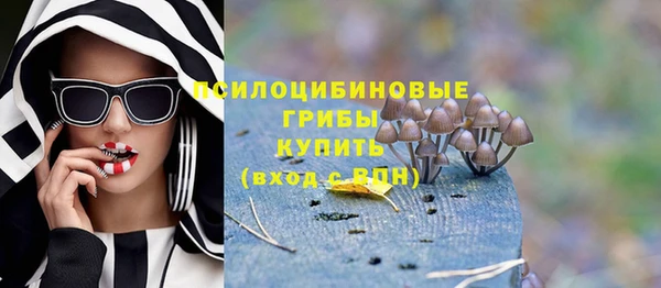 apvp Белокуриха