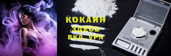 apvp Белокуриха