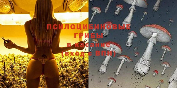 apvp Белокуриха