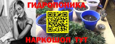 jwh Апшеронск