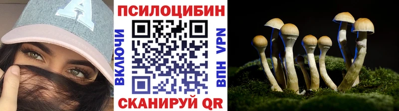 Галлюциногенные грибы мицелий  Верхний Уфалей 