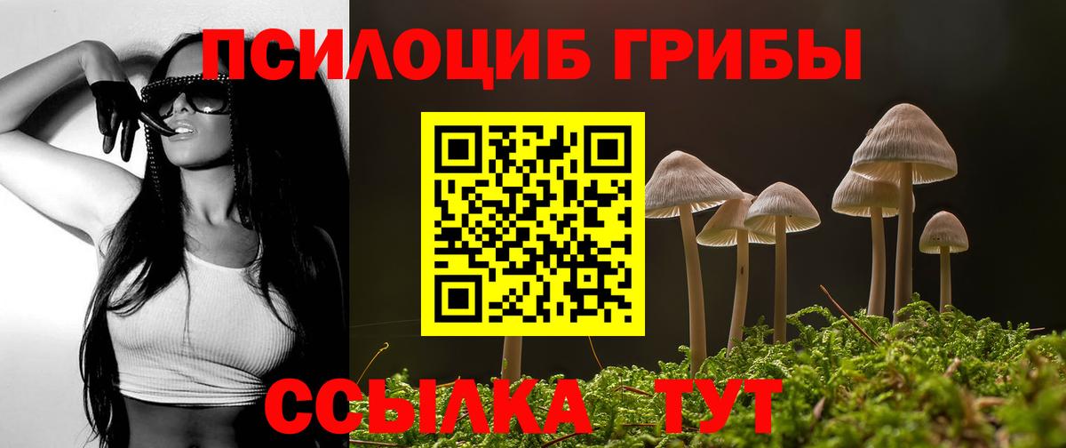 Верхний Уфалей  Галлюциногенные грибы прущие грибы  Галлюциногенные грибы ЛСД  Вход с VPN 